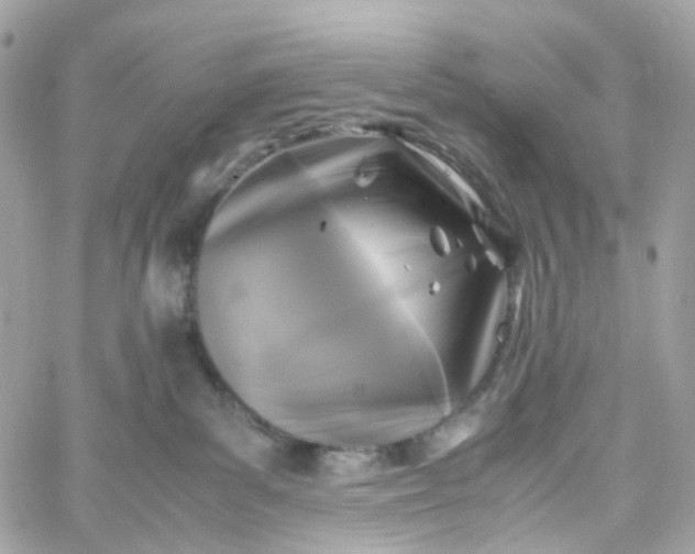 X0000059250139200510282005