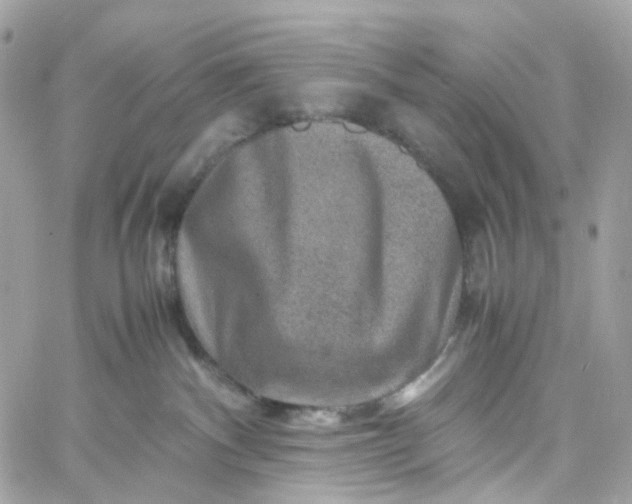 X0000059250140200510282005