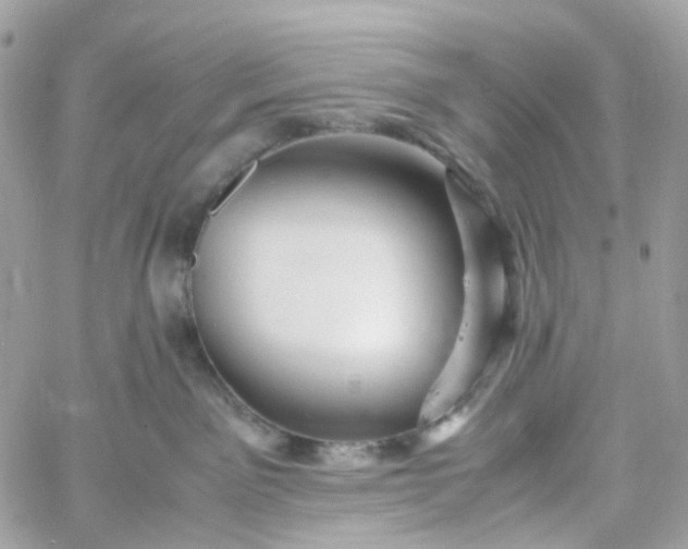 X0000059250141200510282005