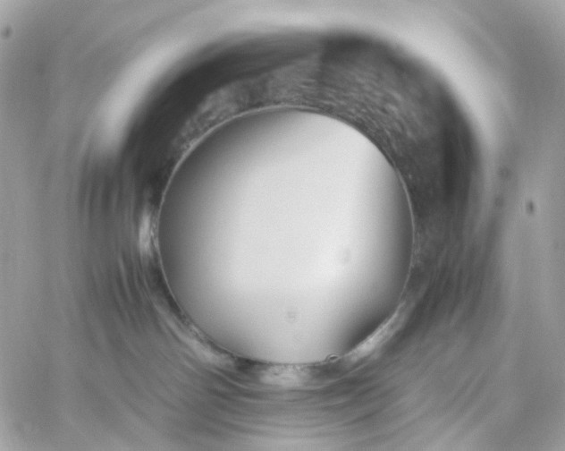 X0000059250142200510282005