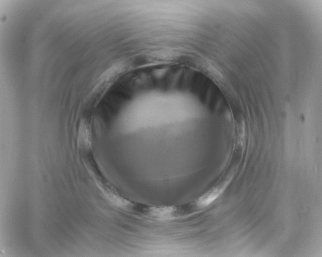 X0000059250143200510282005