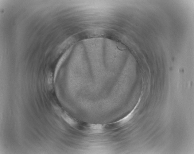 X0000059250144200510282005