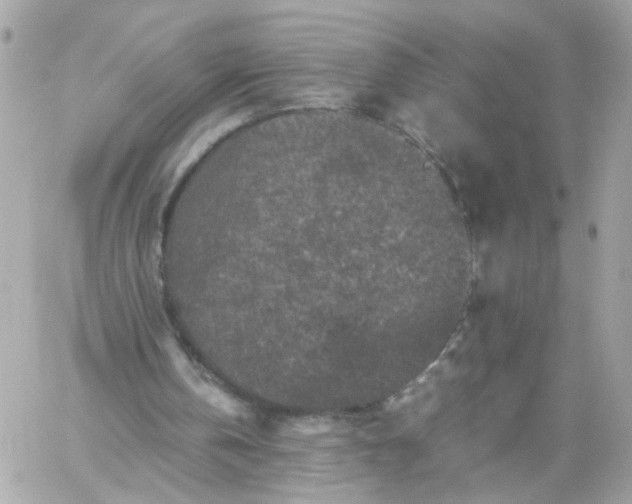 X0000059250146200510282004