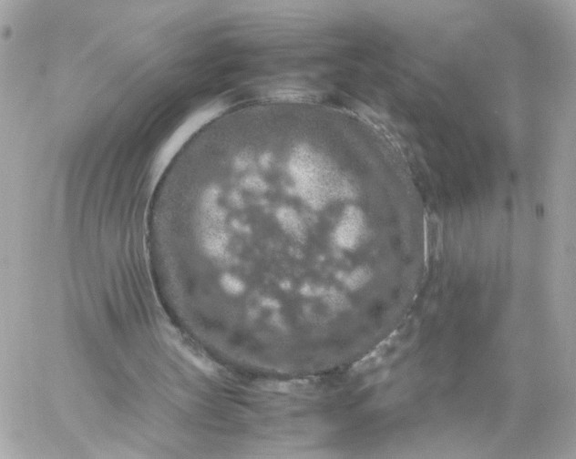 X0000059250147200510282004