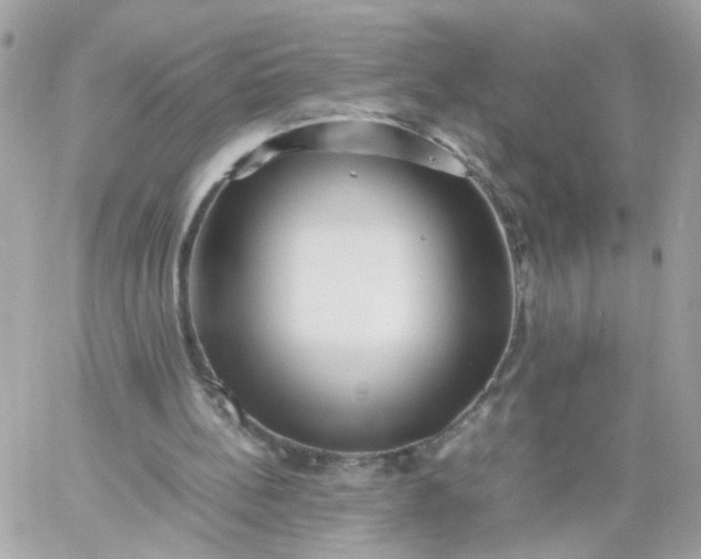 X0000059250148200510282005