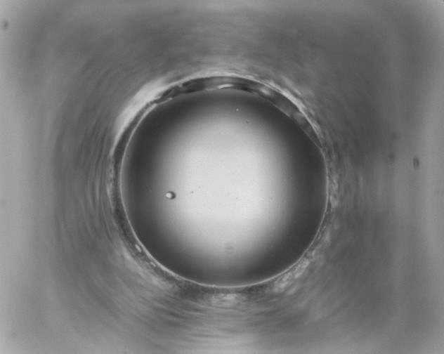 X0000059250152200510282005