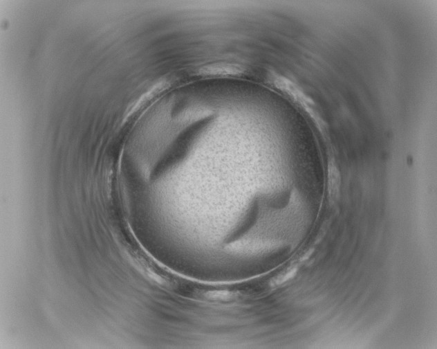 X0000059250153200510282005