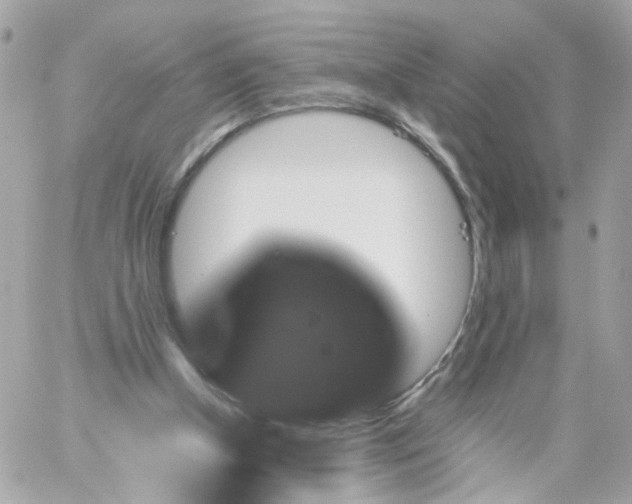 X0000059250154200510282005