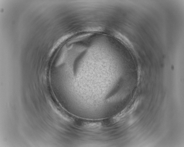 X0000059250155200510282005