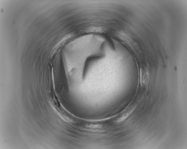 X0000059250157200510282005