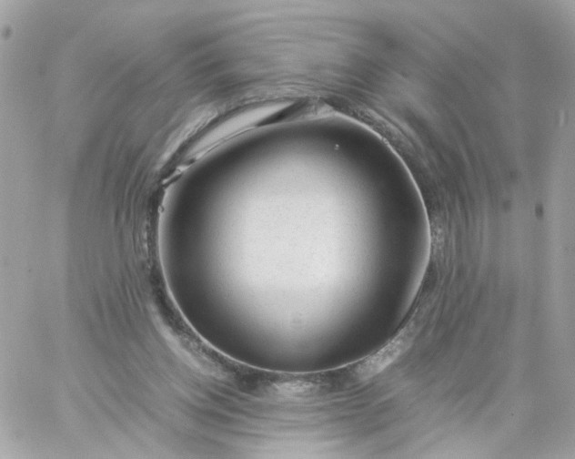 X0000059250158200510282005