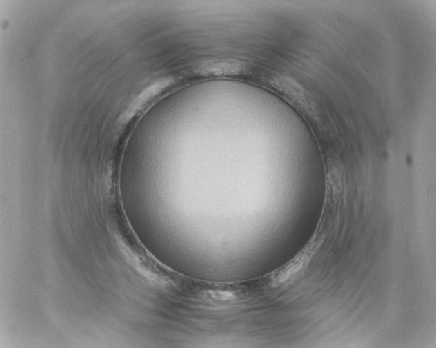 X0000059250159200510282005