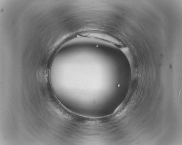 X0000059250160200510282005