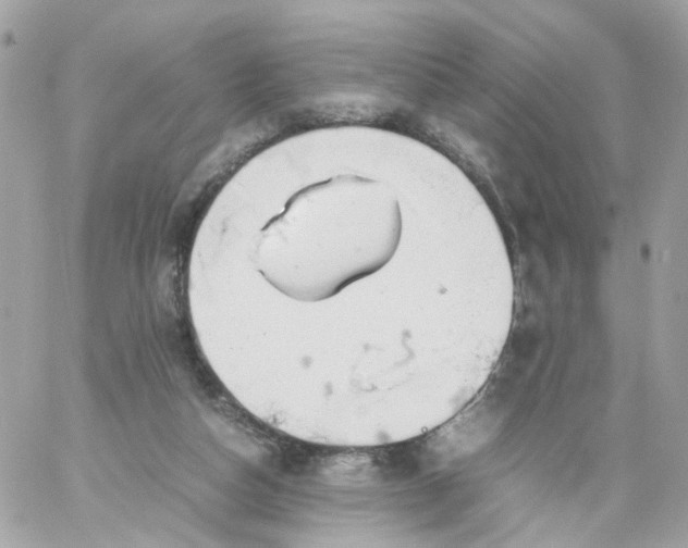 X0000059250162200510282005