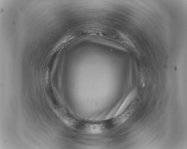 X0000059250163200510282005