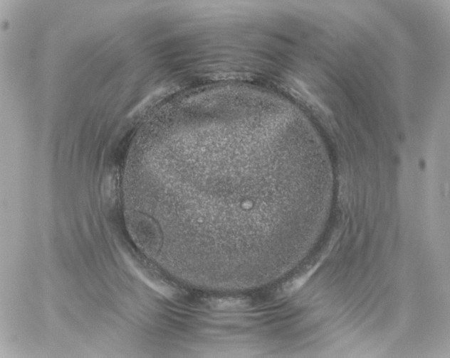 X0000059250165200510282005