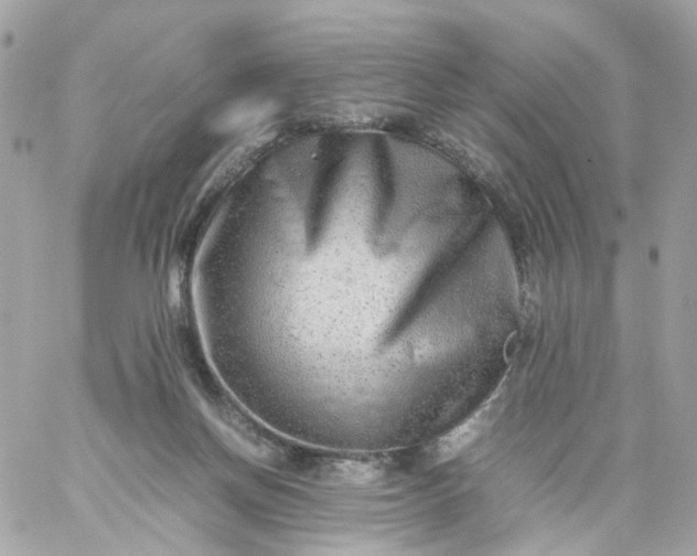 X0000059250166200510282005