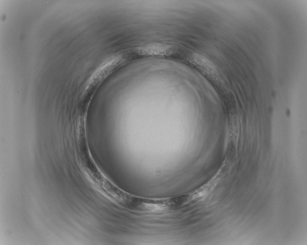 X0000059250167200510282005