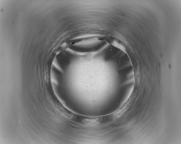 X0000059250170200510282005