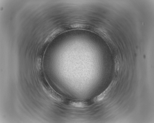 X0000059250171200510282005