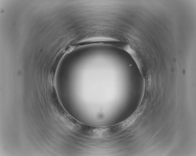 X0000059250172200510282005