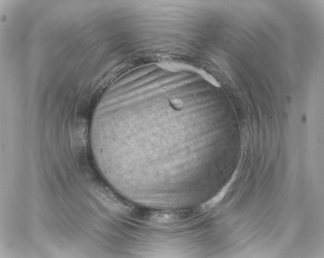 X0000059250174200510282005