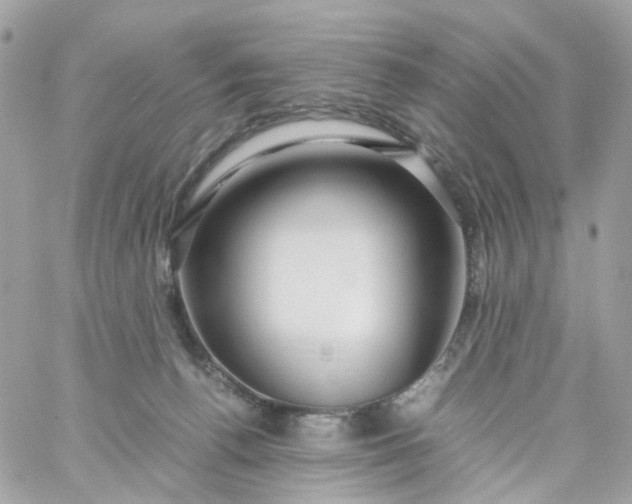 X0000059250176200510282005