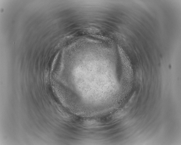 X0000059250177200510282005