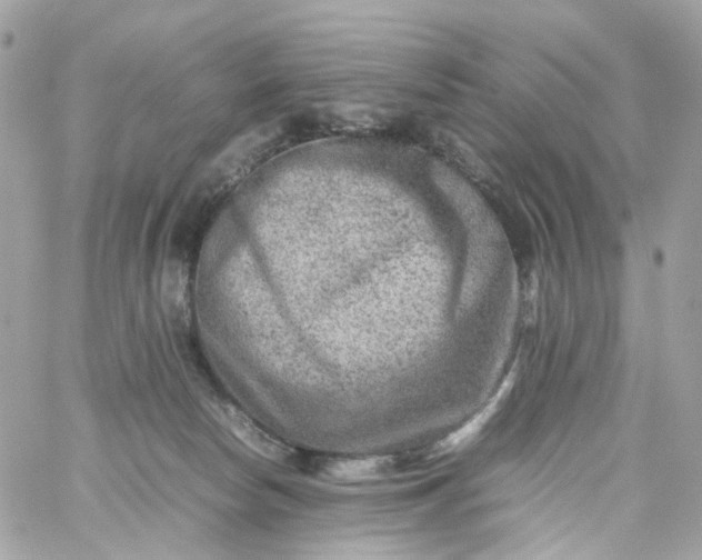 X0000059250178200510282005