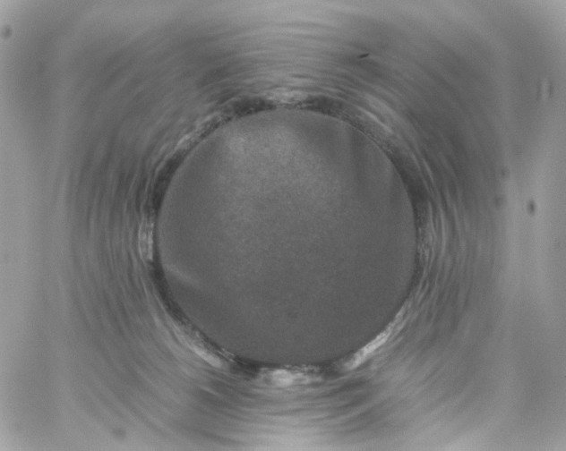 X0000059250180200510282005