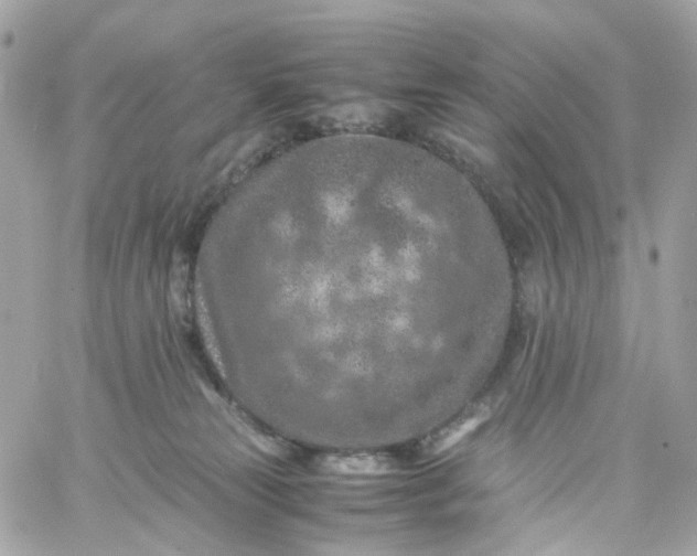 X0000059250181200510282005