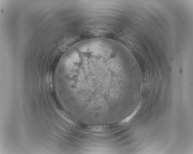 X0000059250182200510282005