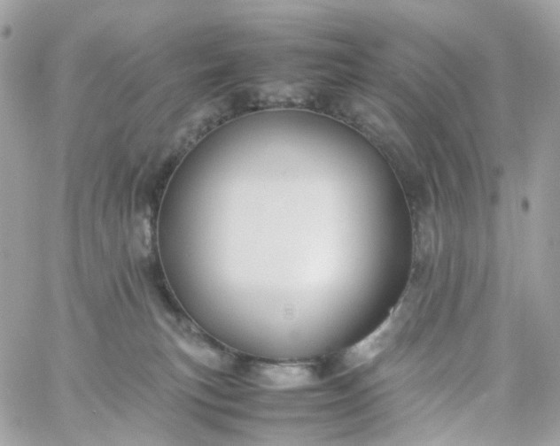 X0000059250183200510282005