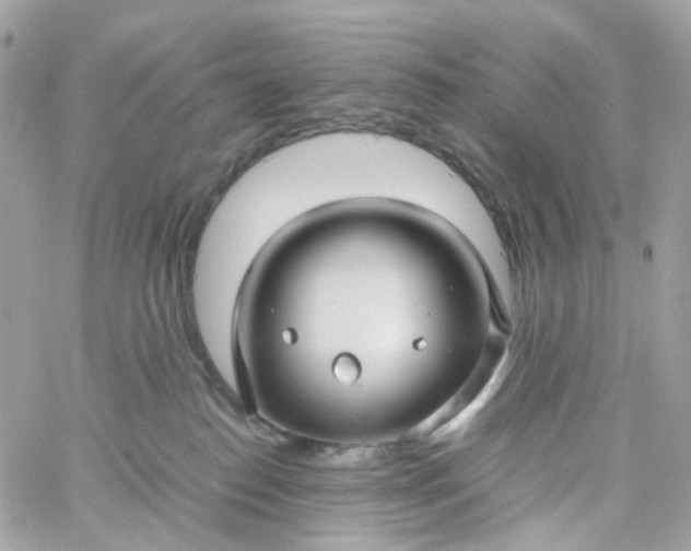 X0000059250186200510282005