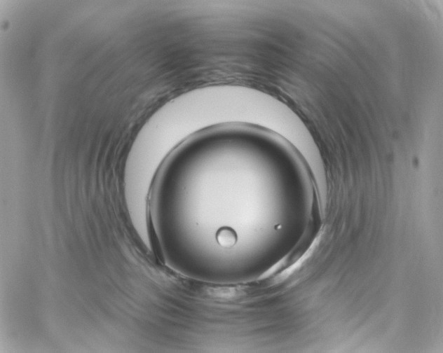 X0000059250187200510282005