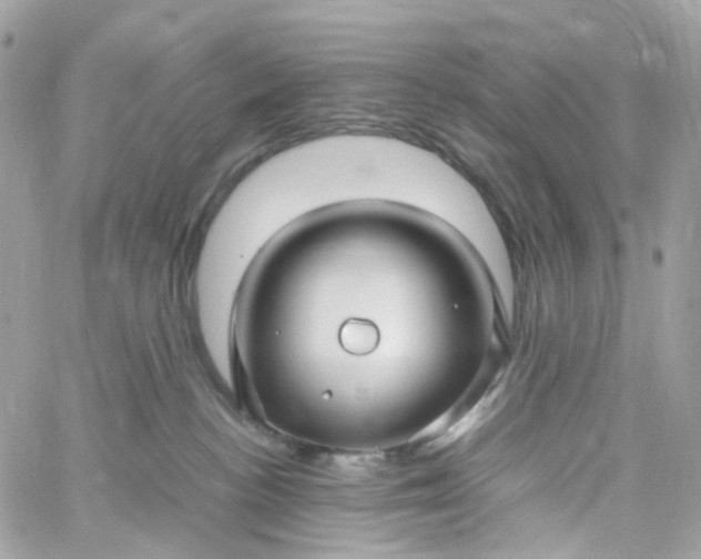 X0000059250188200510282005