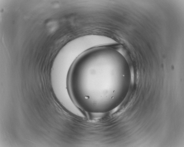 X0000059250189200510282005