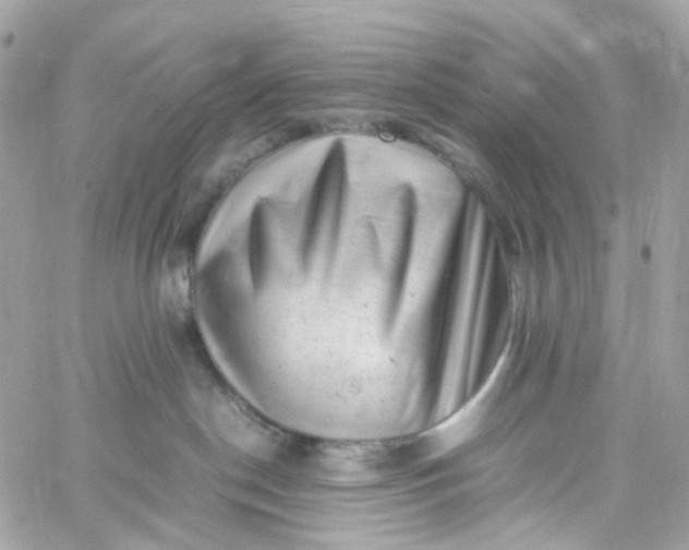 X0000059250190200510282005