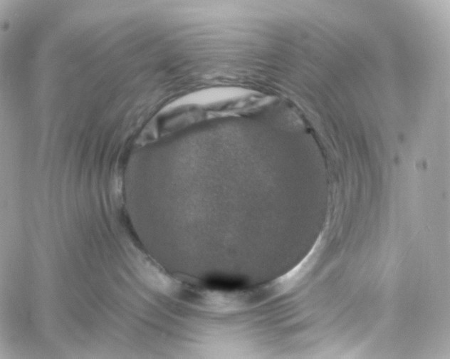 X0000059250192200510282005