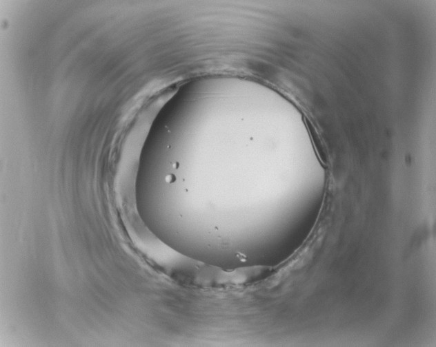 X0000059250193200510282004