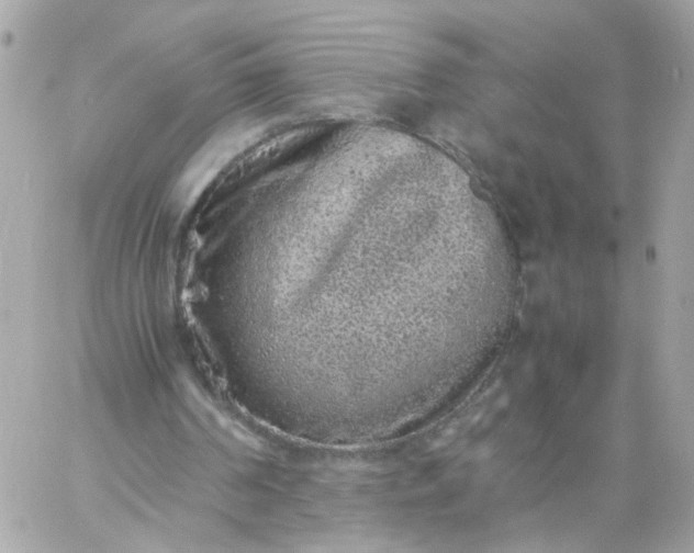 X0000059250194200510282004