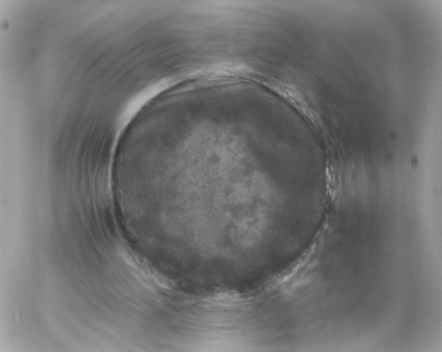 X0000059250196200510282004