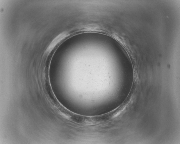 X0000059250199200510282004