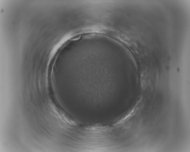 X0000059250200200510282004