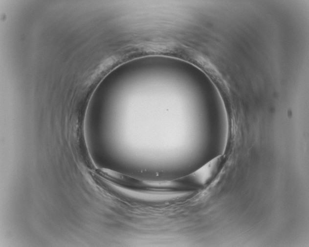 X0000059250201200510282004