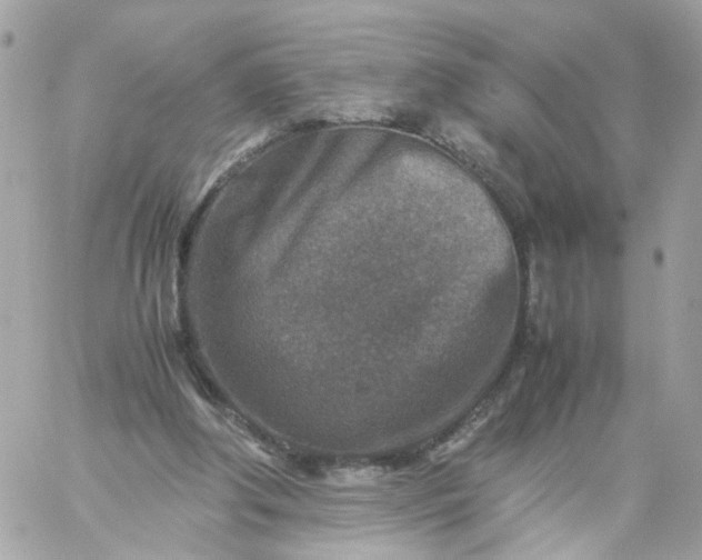 X0000059250202200510282004