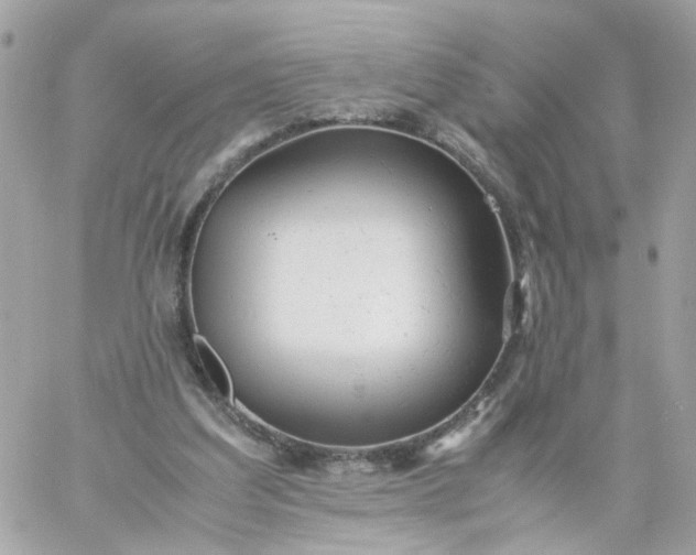 X0000059250203200510282004