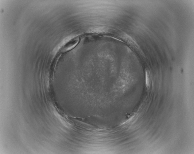 X0000059250204200510282004