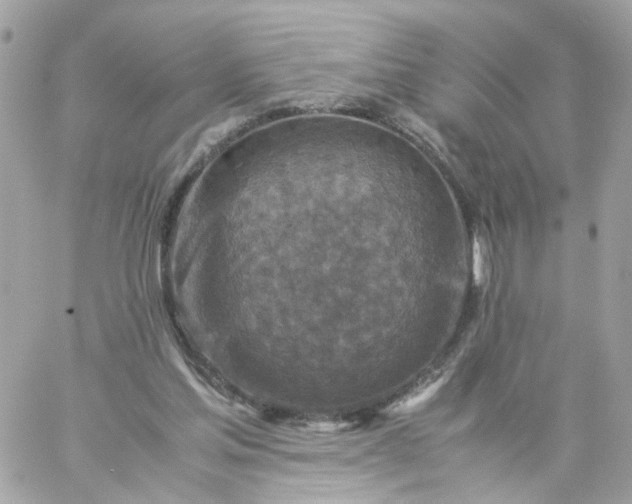 X0000059250205200510282004