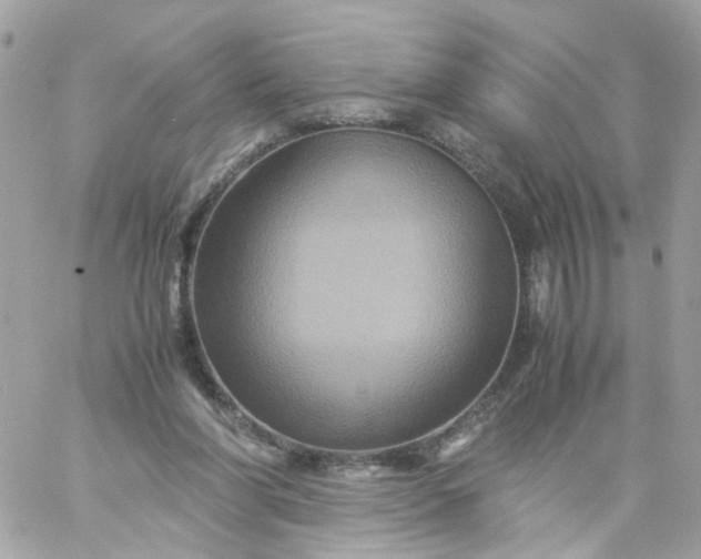 X0000059250206200510282004